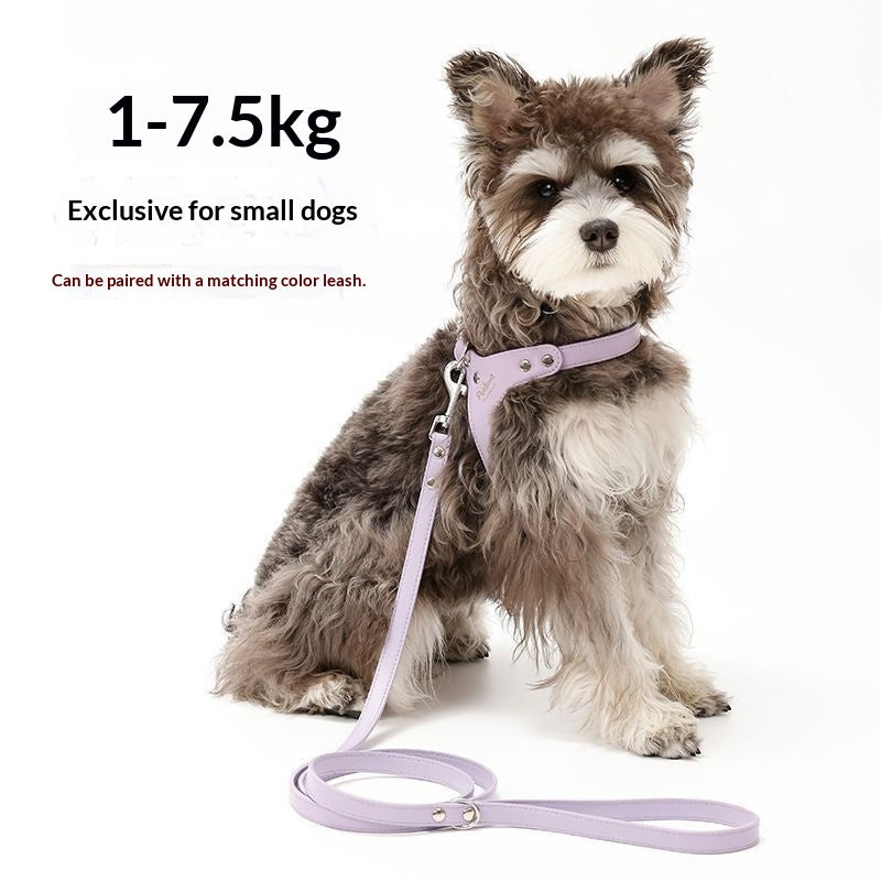 Harnais en cuir et laisse pour chiots pour petits chiens