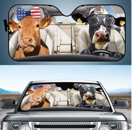 Voiture Sun Shield Arrêt avant écran solaire Chaleur Isolation Non-punching Rideau télescopique