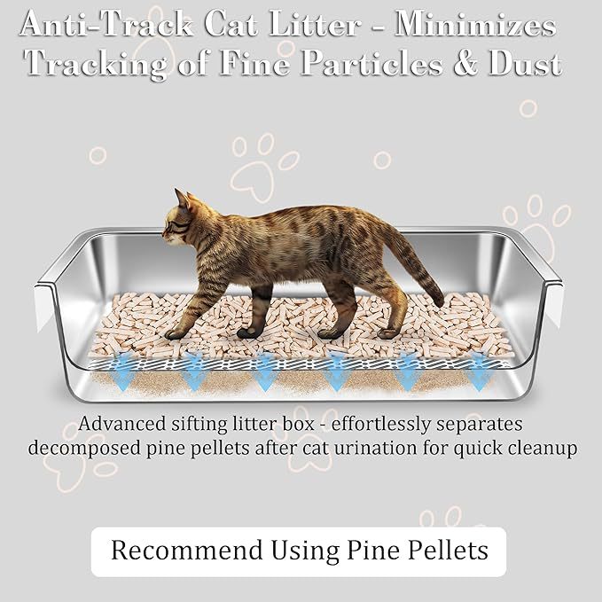 Filtre en acier inoxydable Cat Litter Box Détachable et ouvert Toilette Cat
