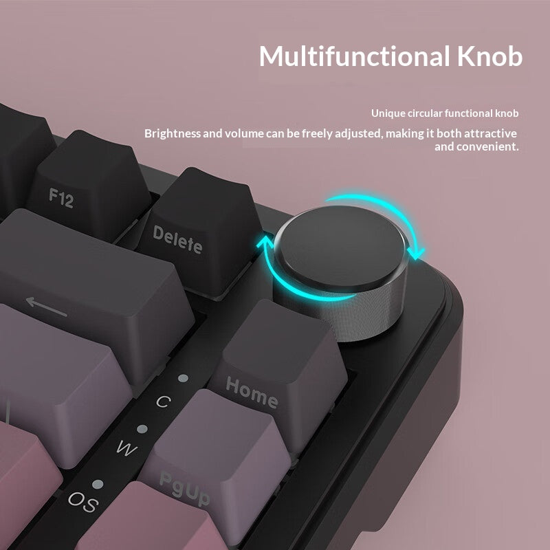 PBT Double-s Clapets gradués Tri-mode Clavier mécanique gravé latéralement