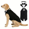 Ensemble de vêtements et d'écharpes pour animaux de compagnie entièrement créatifs