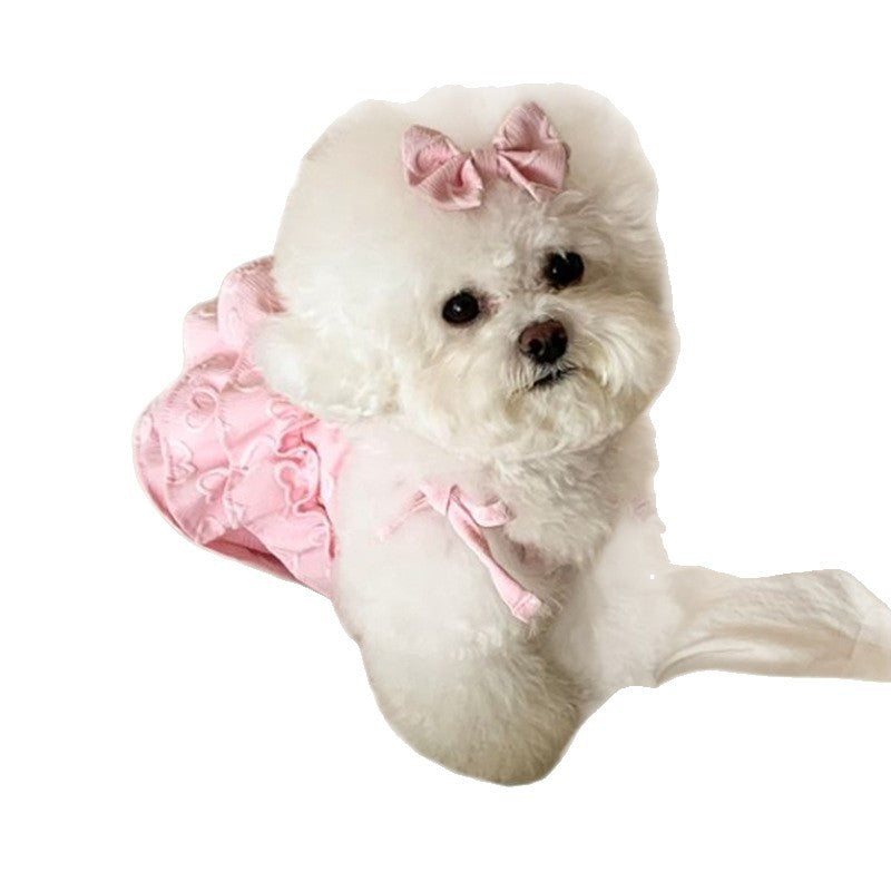 Robe de chien en forme de cœur printemps-été