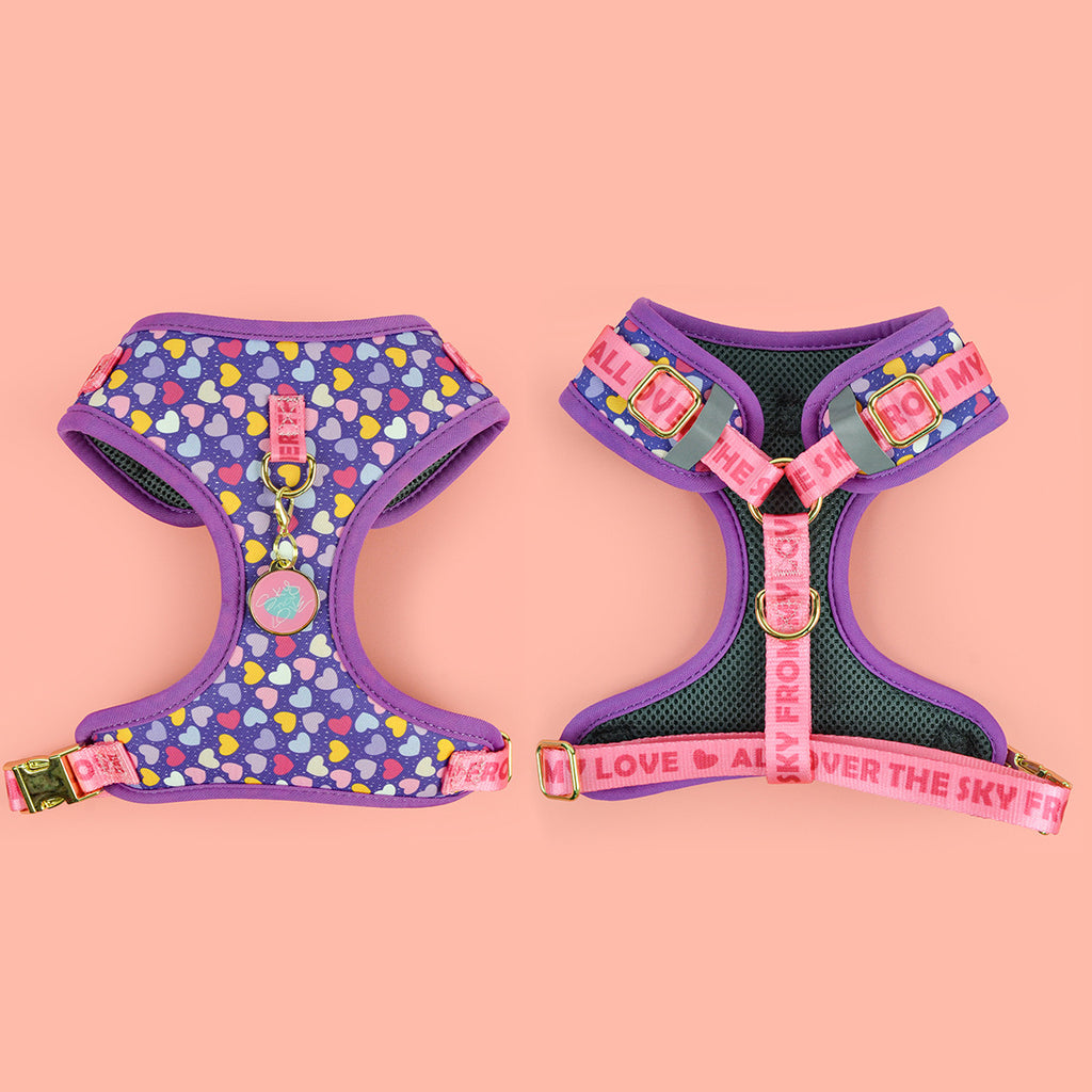 Fashionable Breast Strap réglable pour chien