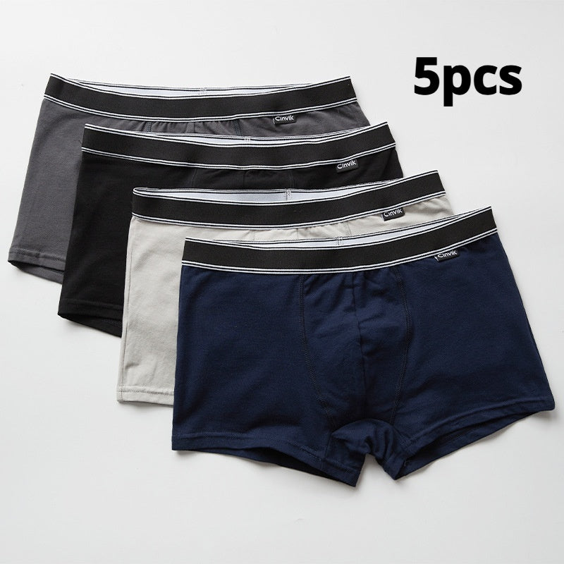 Sous-vêtements pour hommes en coton taille moyenne