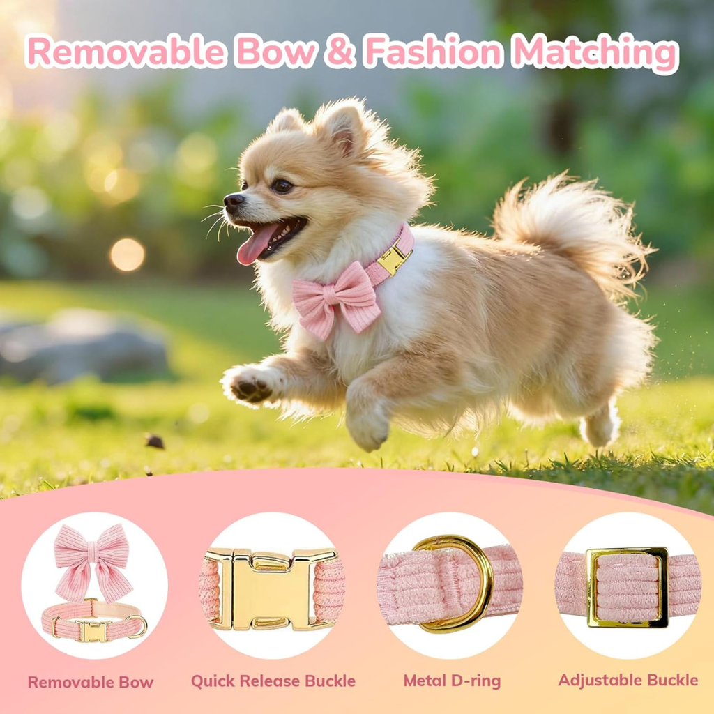 Small dog harness and leash set