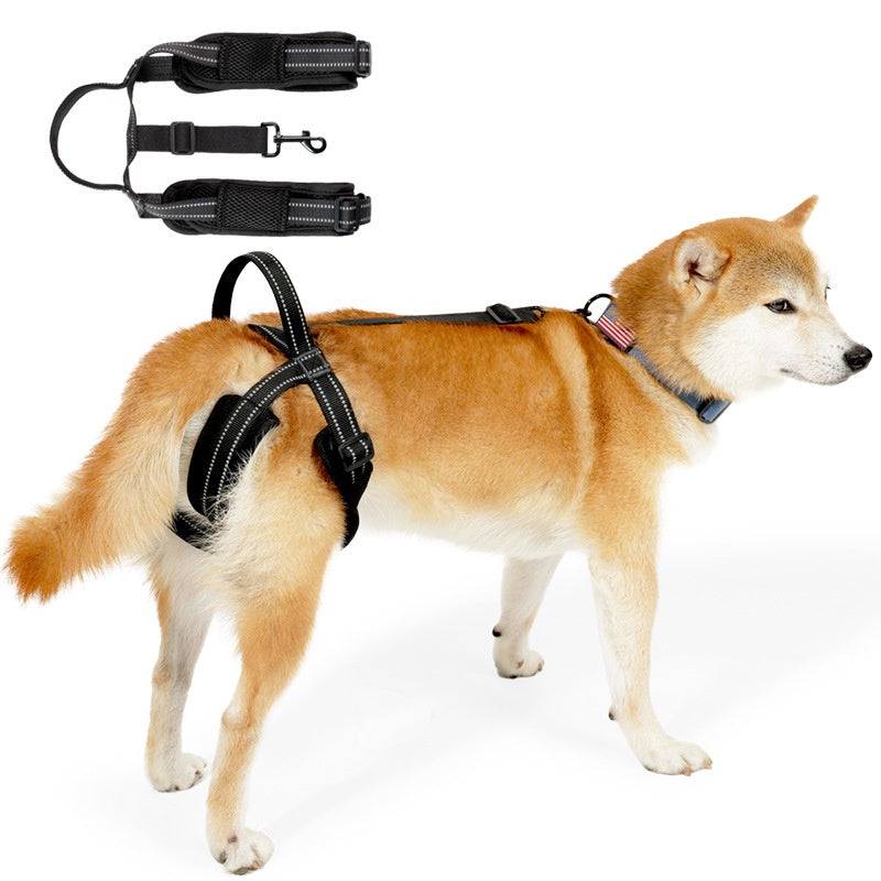 Retractable Harness for Dog Rehabilitation