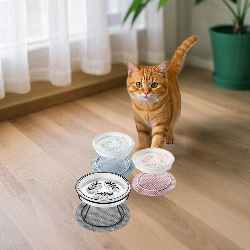 Bol alimentaire en céramique antichoc pour chats
