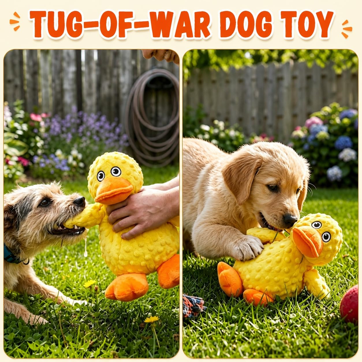 Jouet de chien en peluche durable