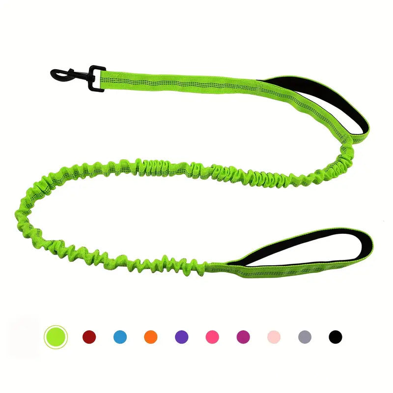 Feuille de chien multifonctionnelle pour les grandes races Anti-pull