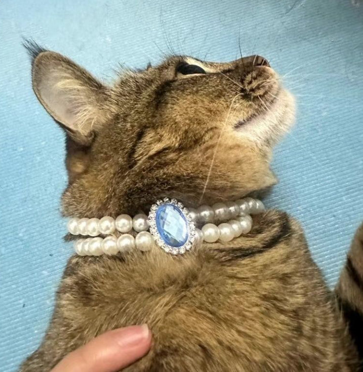 Collier de collier en perles de chat