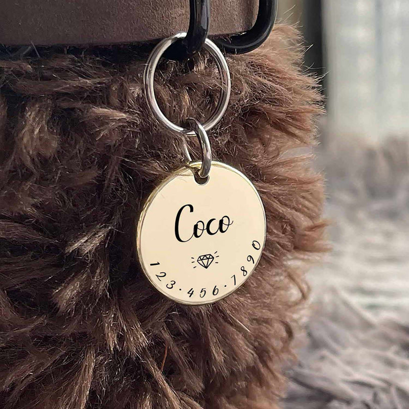 Étiquette de prévention de la perte d'animal pour sortir