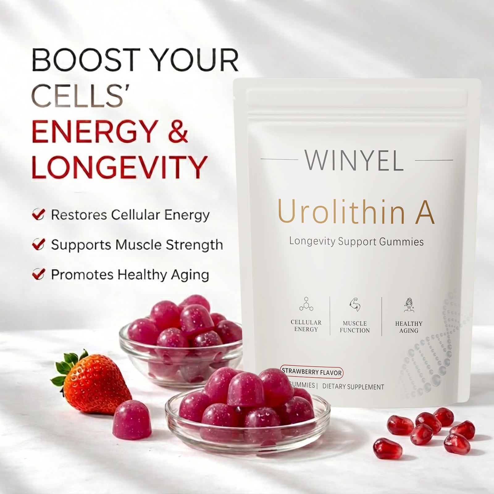 WINYEL Urolithine Un supplément Gommies - Pour un vieillissement en santé Énergie cellulaire Force musculaire