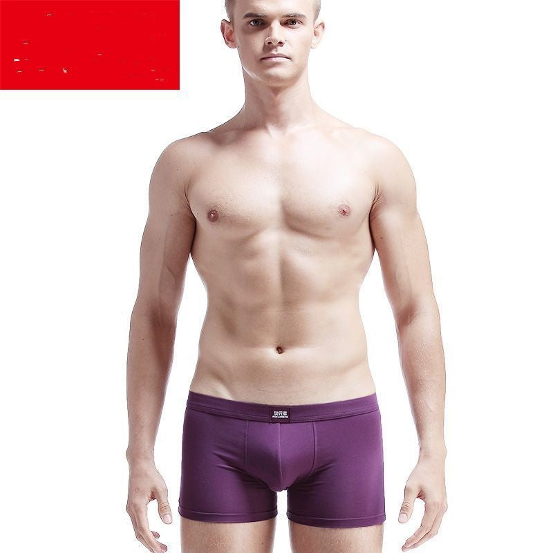 Sous-vêtements pour hommes Boxer pour hommes