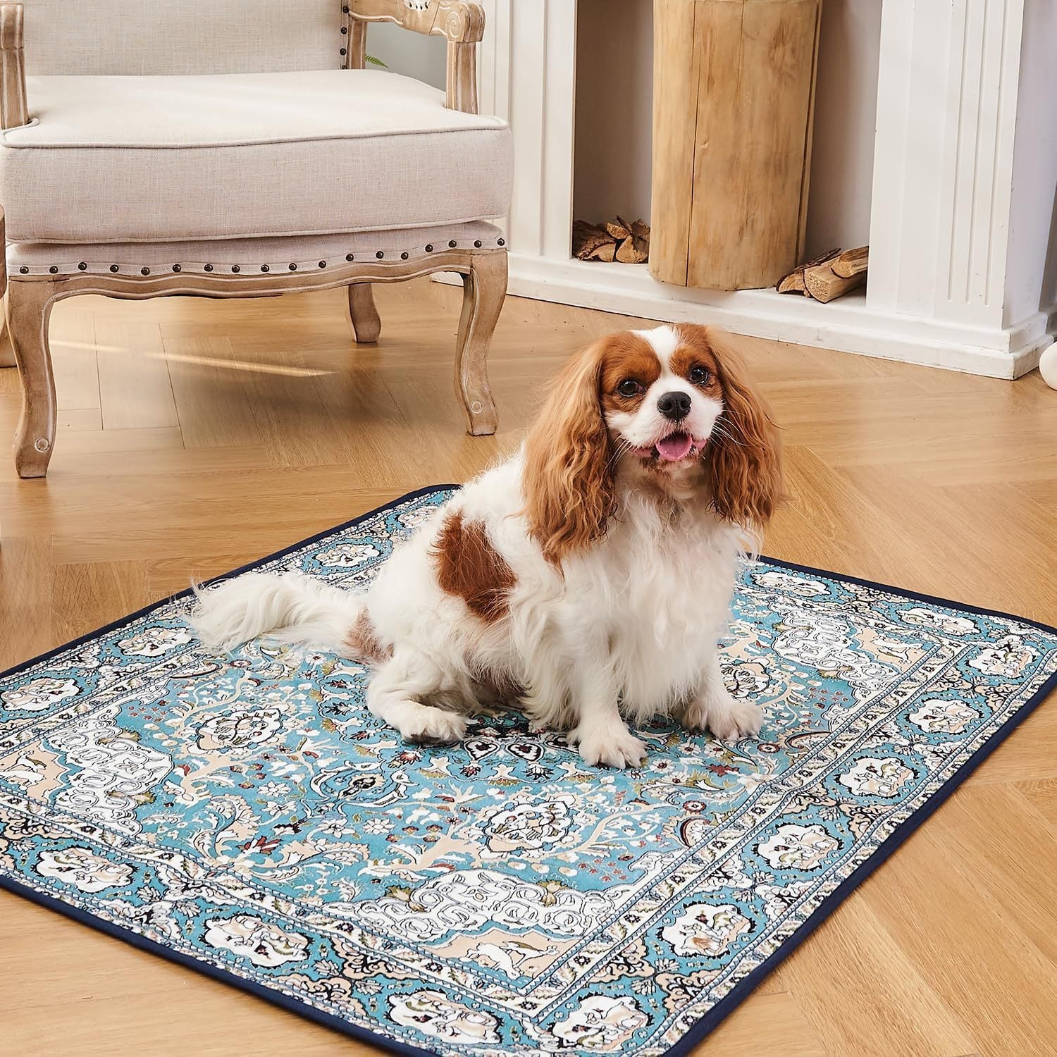 Résistant à la tache transversale et facile à nettoyer Canapé et table à café Rug tapis résistant à l'urine