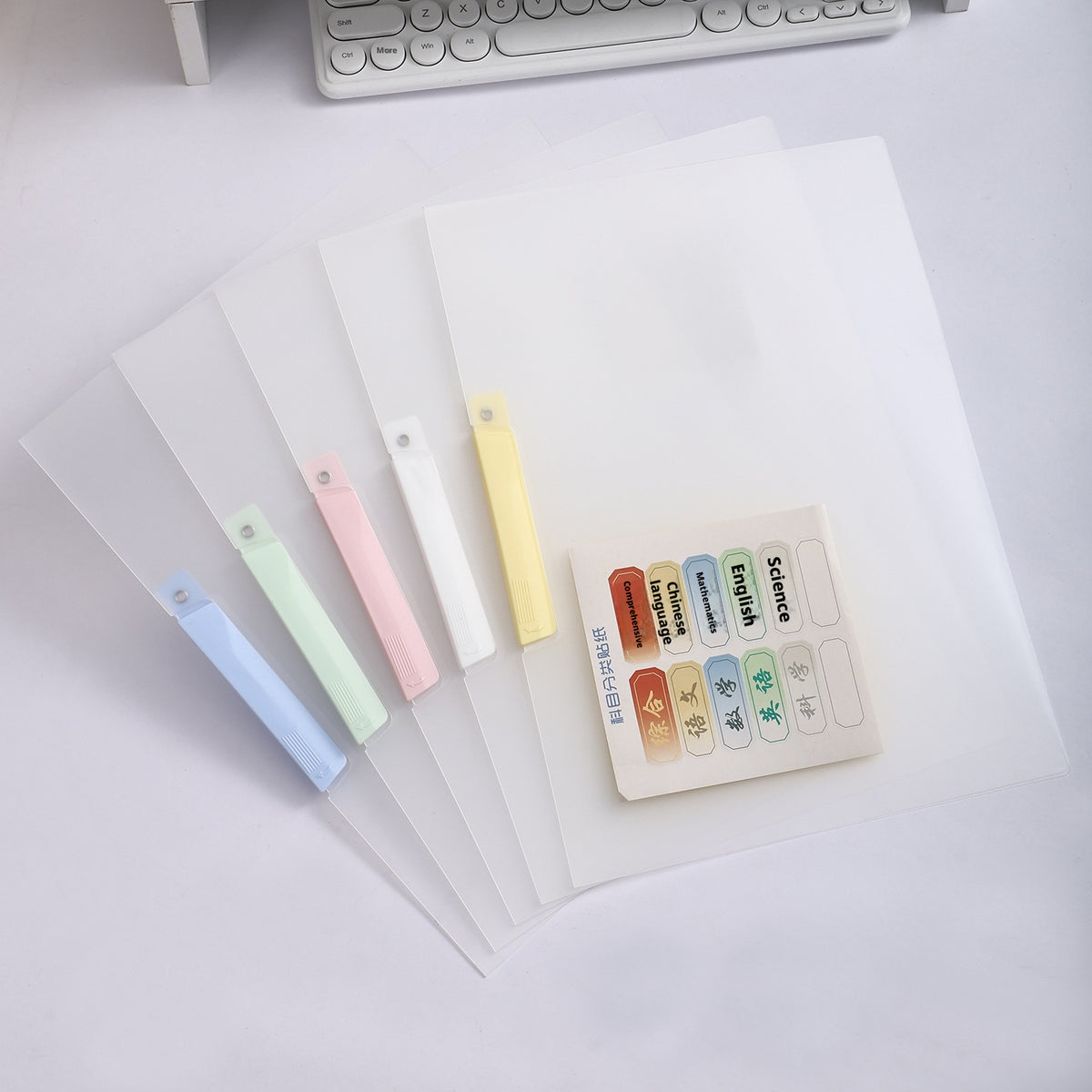 A3 Test Paper Folder-Large Single Folder-Mixed Colour-PP-5