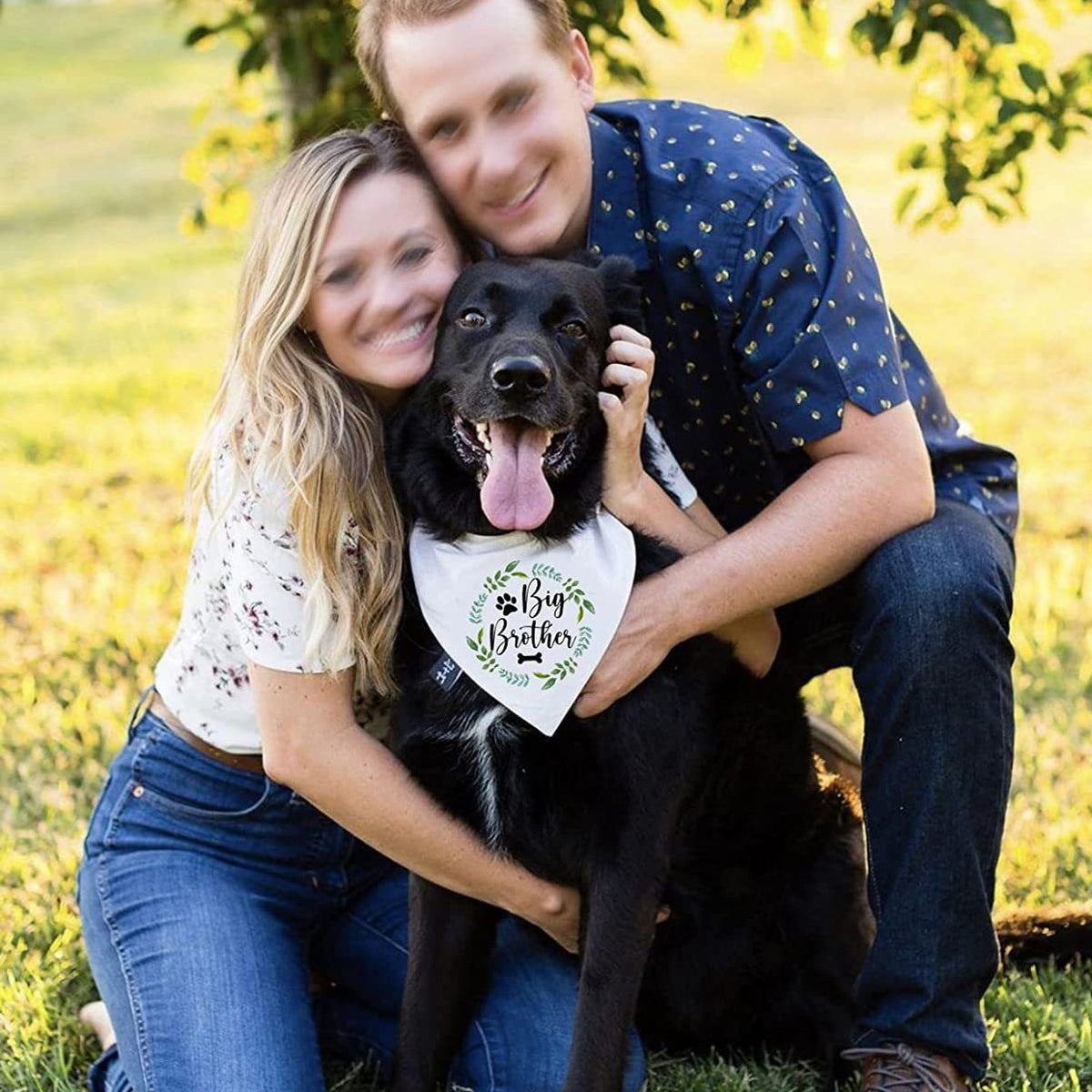 Binder triangulaire pour chien de mariée