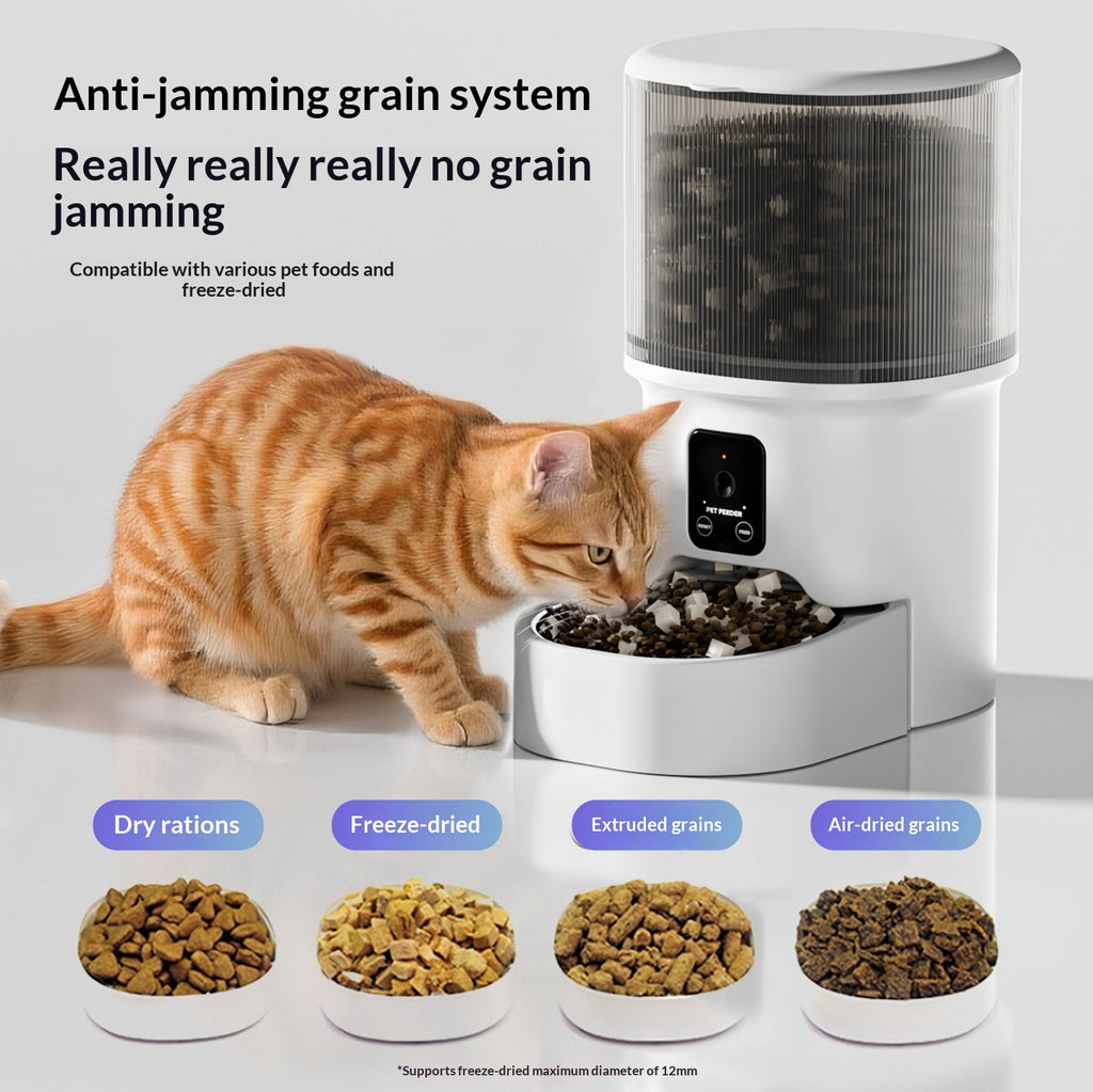 Alimentation automatique pour chiens