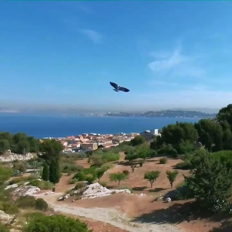 Télécommande mobile Bionic Bird Control Toy Petit UAV