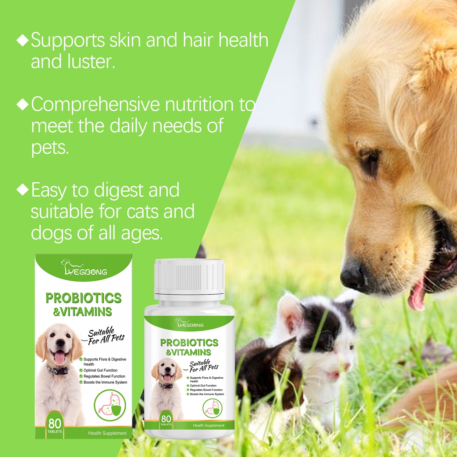 Probiotiques pour animaux de compagnie et comprimés de vitamine pour chiens et chats