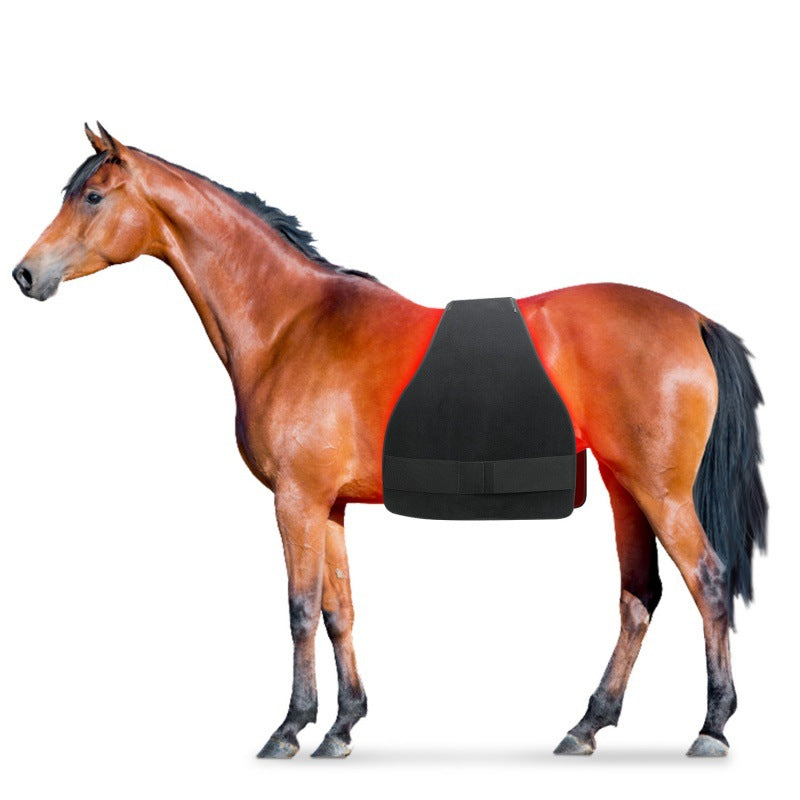 High Power Portable Horse Butt Belly Leg Abdomen Back Front Leg Red Light Infrared Physiot