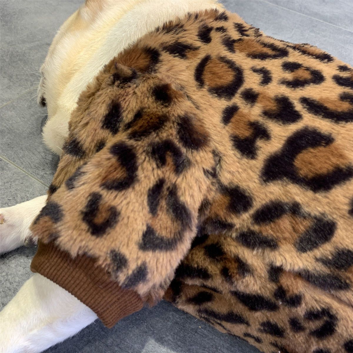 Vêtements de chien polaire doublé chaud rembourré garder Corgi et Shiba Inu Jarre Aero Bull