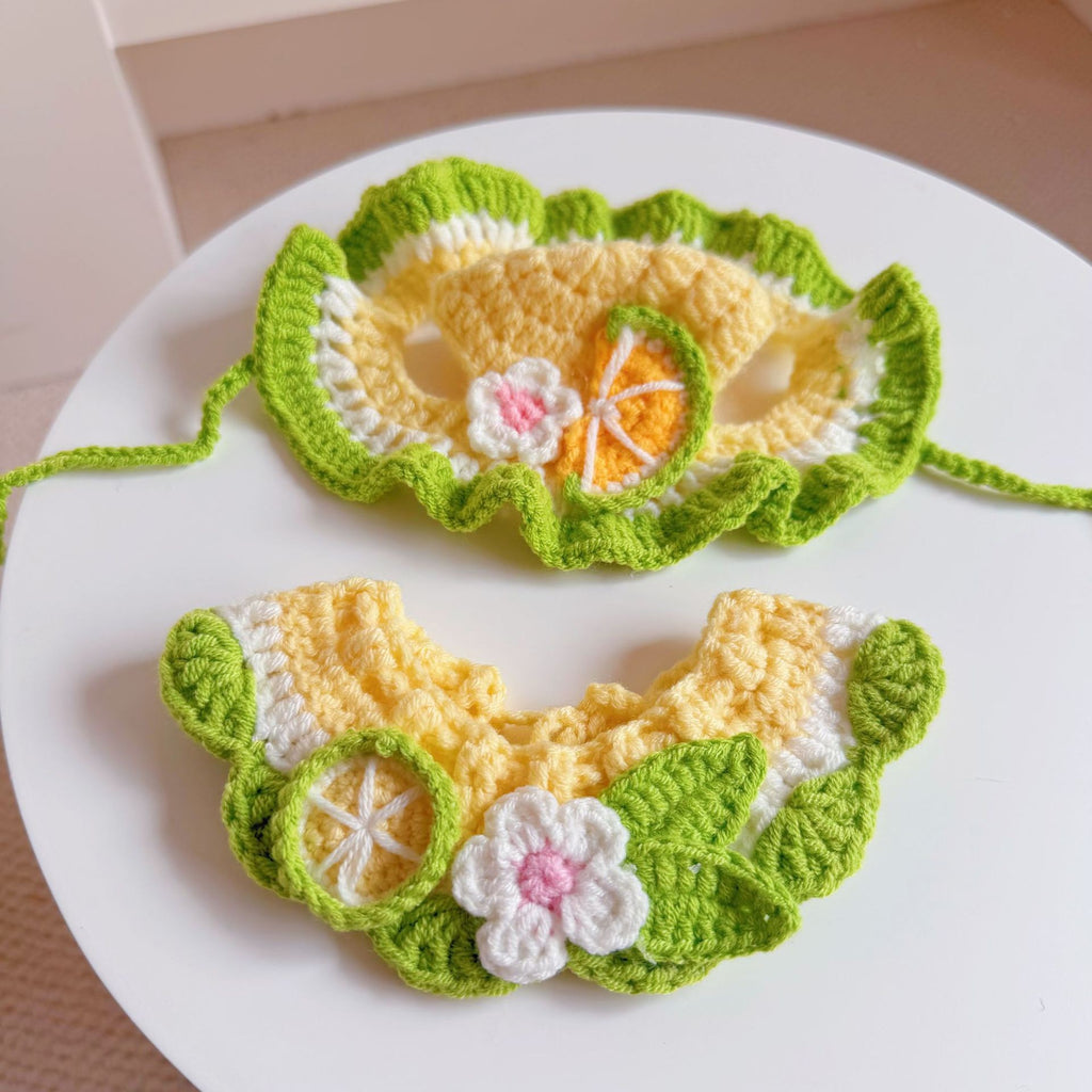 Chapeau de fleur de printemps et ensemble de bib de chat et de grenouille de chien