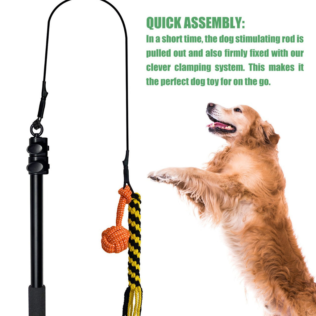 Bâton télescopique chien Teasing Rod Toy Pet