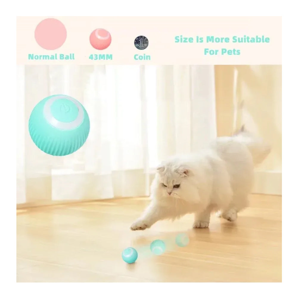 Electric Dog Cat Ball Toy