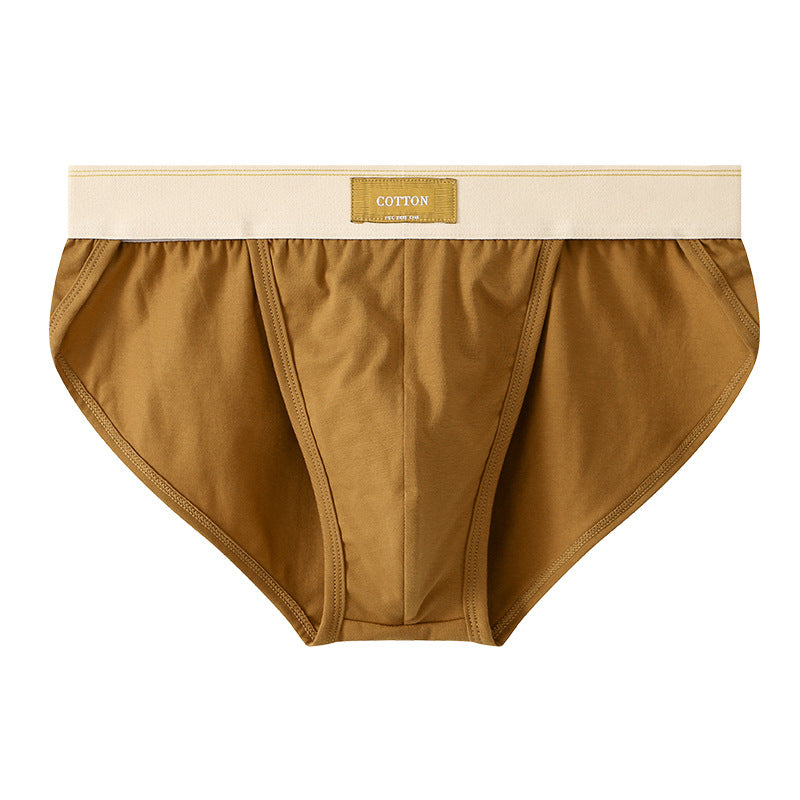 Slips en coton couleur solide pour hommes