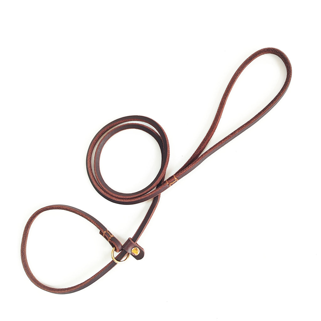 En cuir véritable tressé corde Cowhide chien laisse Pet entraînement laisse
