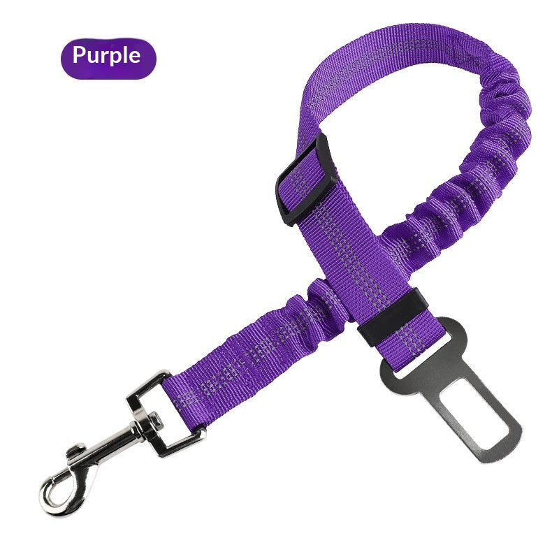 Étendable et rétractable en absorption des chocs Pet Leash