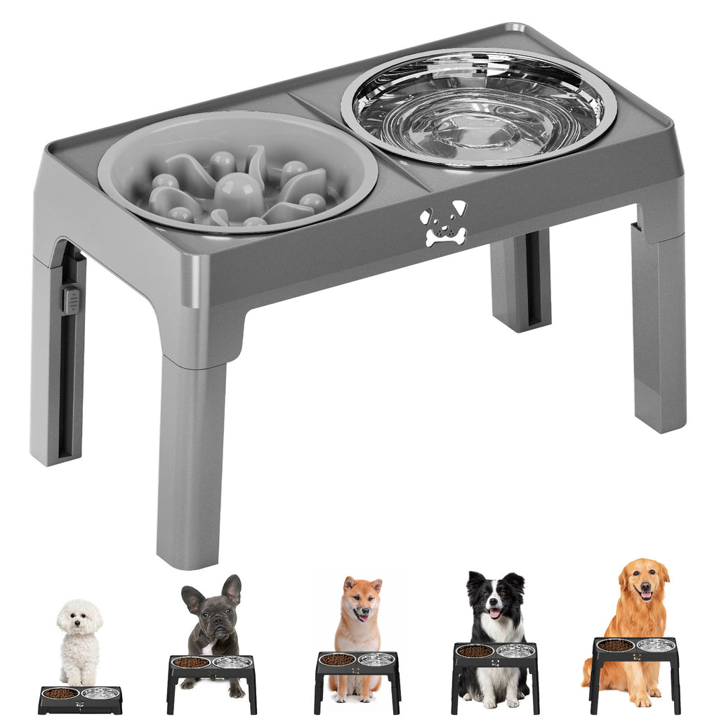 Bol de chien élevé 2 bols en acier inoxydable