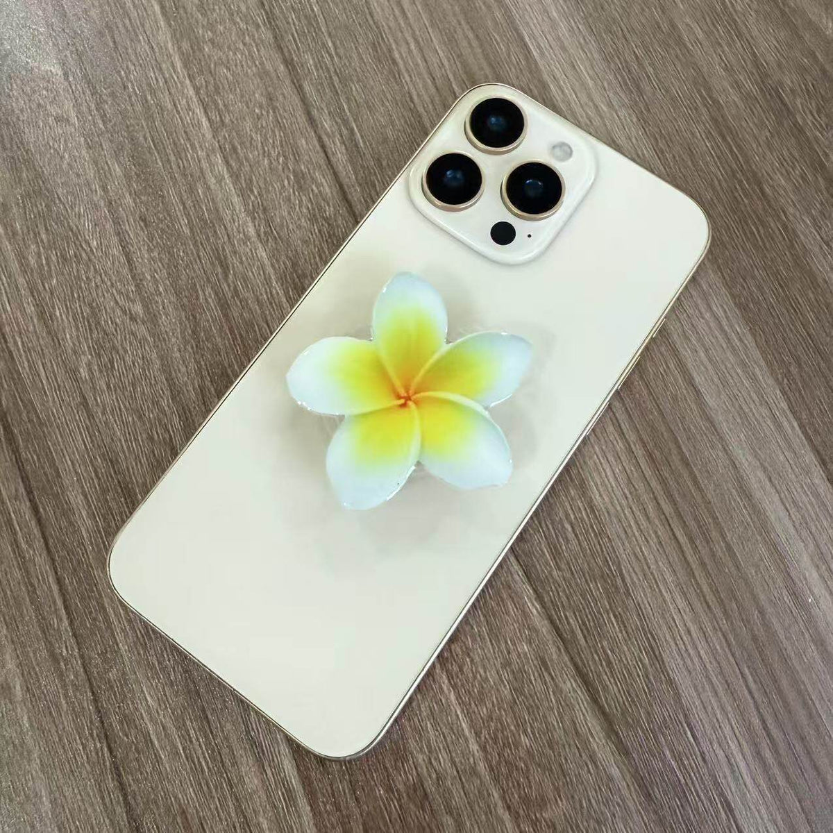 Phalaenopsis Flowers Mobile Airbag Holder