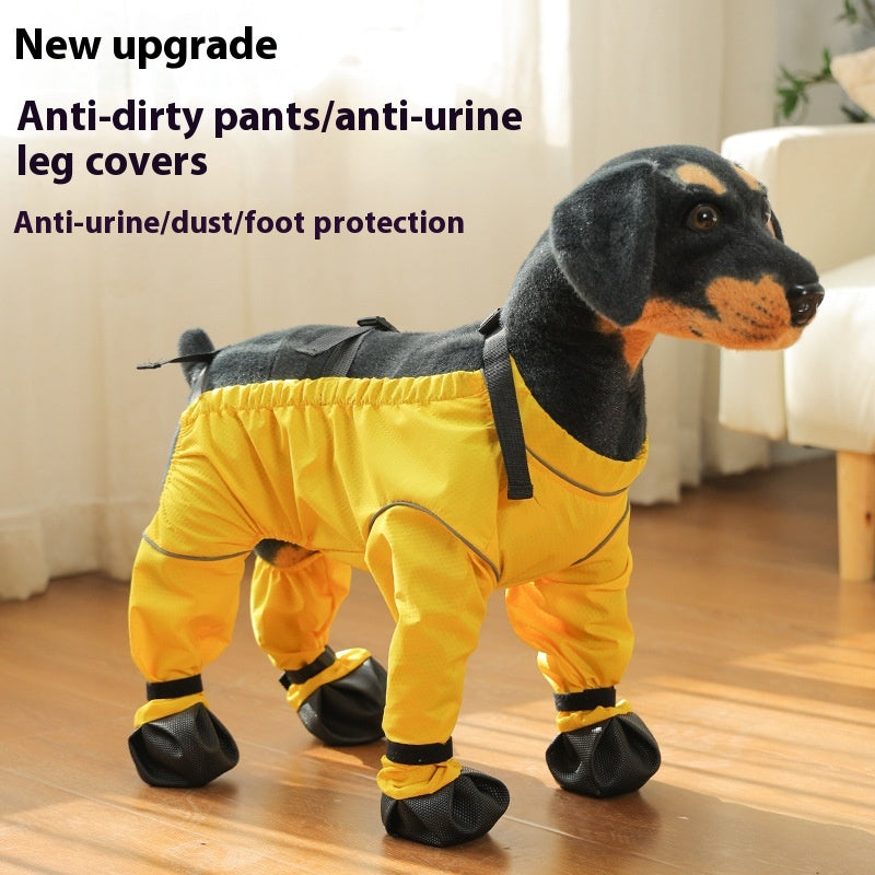 Pantalons anti-salissure de chien Couverture de chaussures de sortie