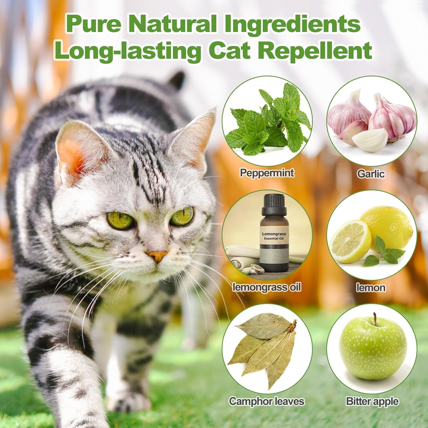 12 Pack Cat Repellent Outdoor