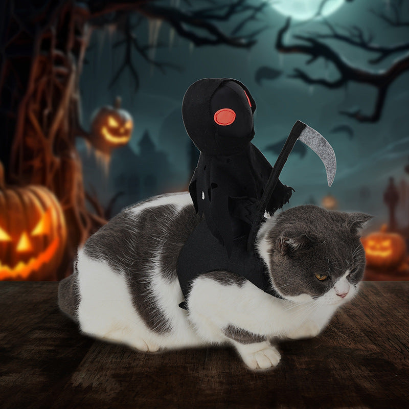 Chien Dark Harvest Costume de transformation chevalier Costume de chat Halloween Costume drôle Cat Cut