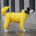 Pare-pluie pour chien de compagnie avec voile de couverture
