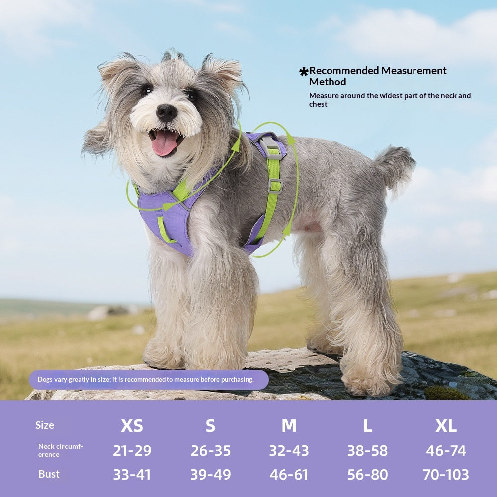 Harnais de chien à séchage rapide multifonctionnel