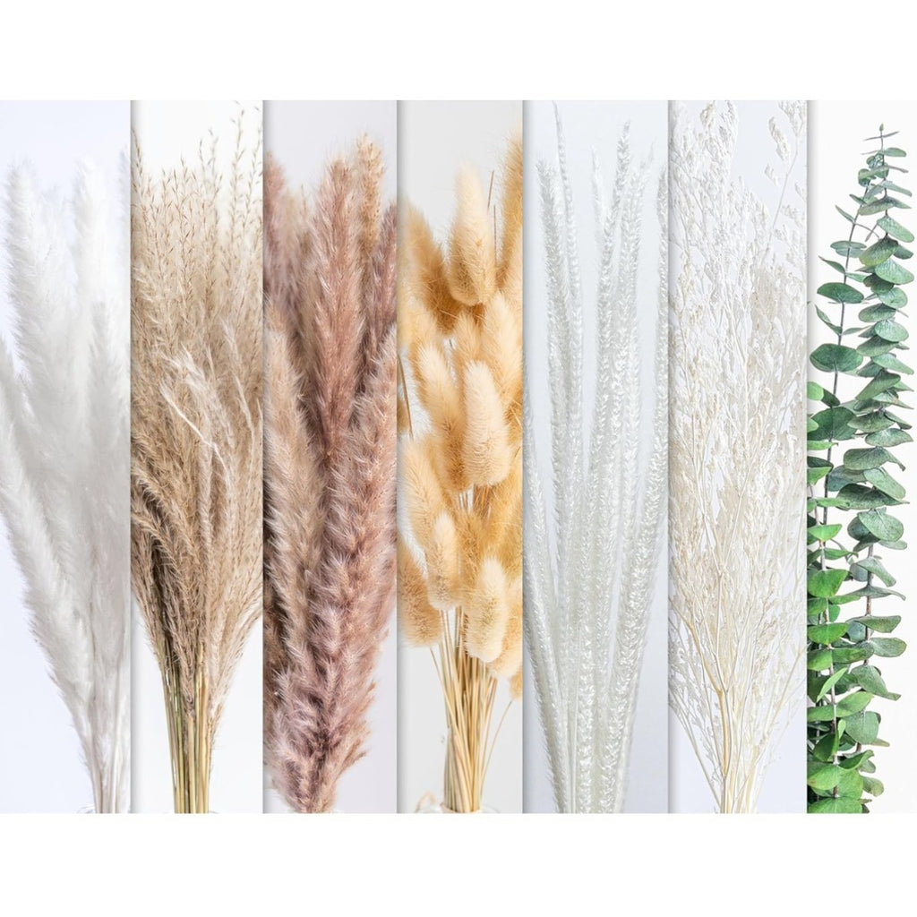 Ensemble de fleurs séchées de 101 pièces