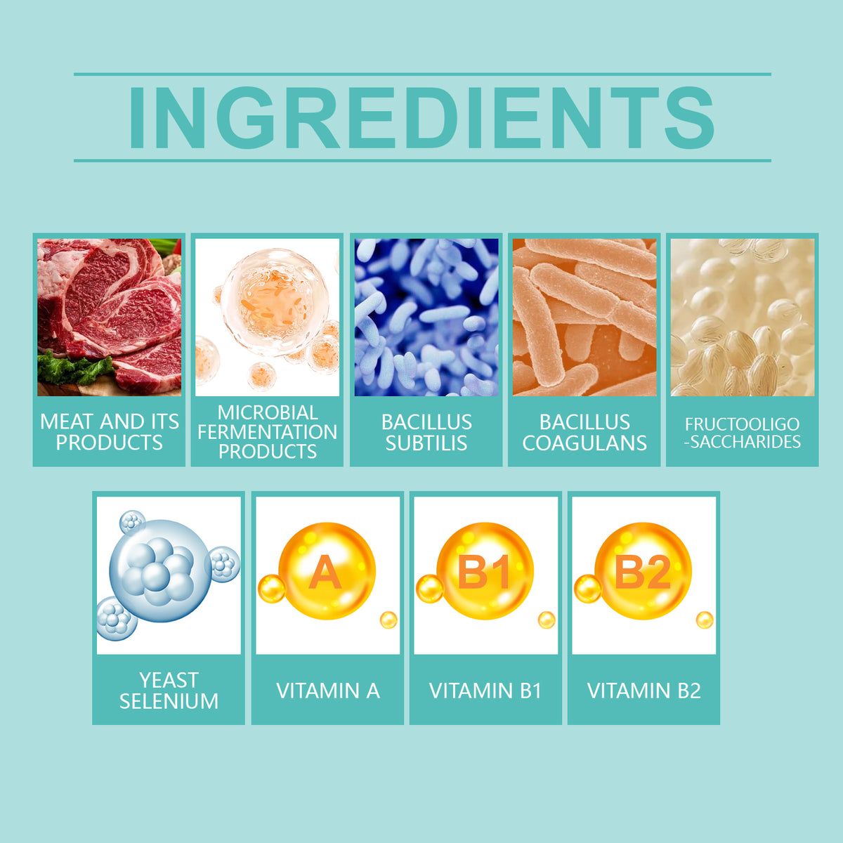 Cat Probiotic Supplement Tablets