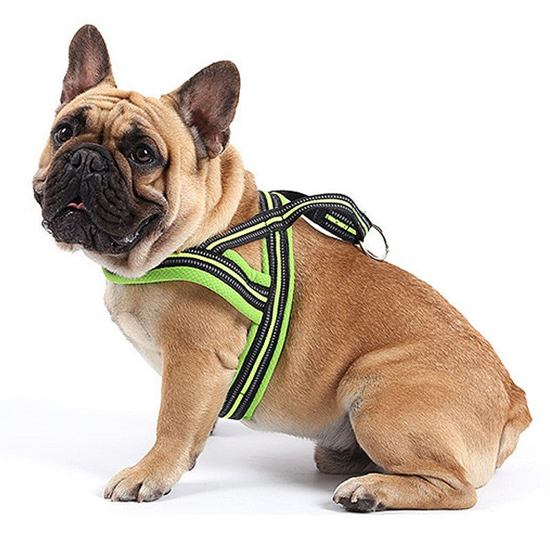 Harnais de poitrine de style vestige en laisse de chien