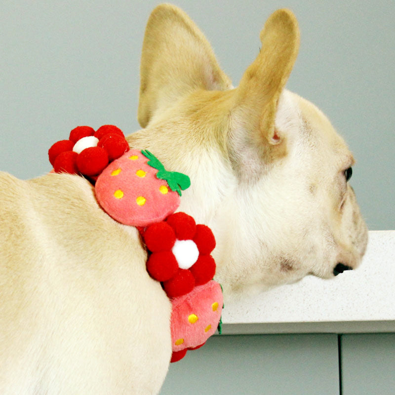 Écharpe Japonais Moyen Grand chien chien Corgi Collar