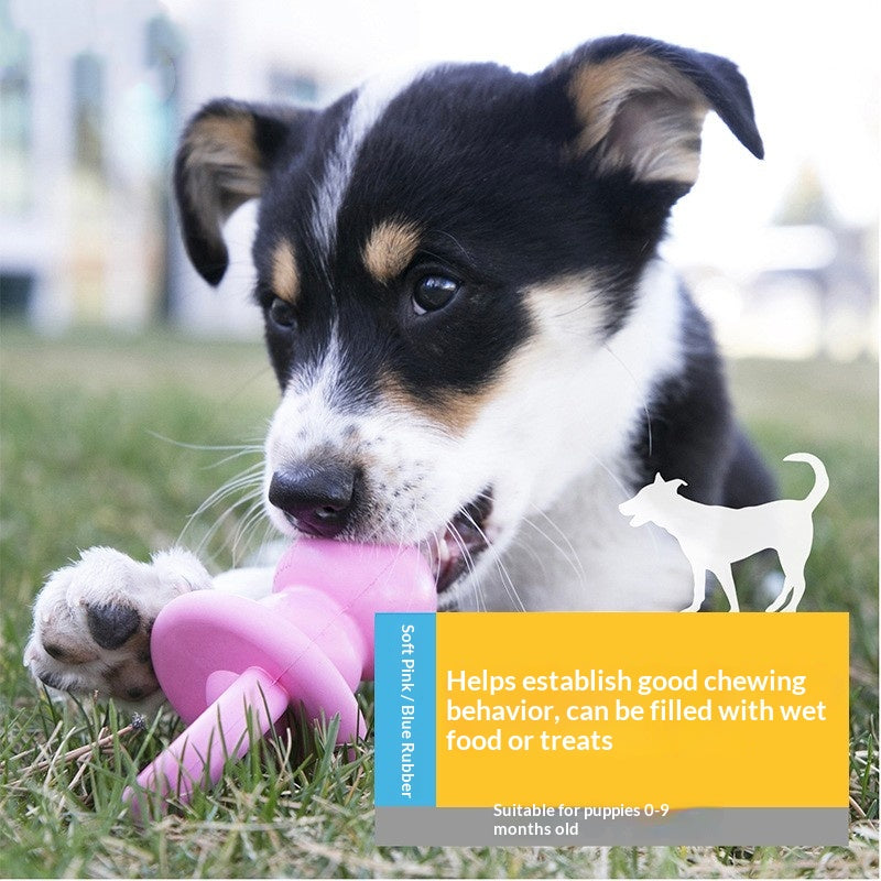 Jouet pour chiens de dents pour chiens de petite et moyenne taille