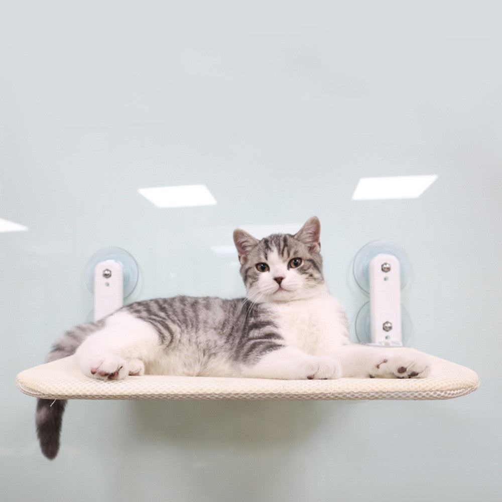 Hammac Four Seasons Universal Cat Litter Suction Cup Windows