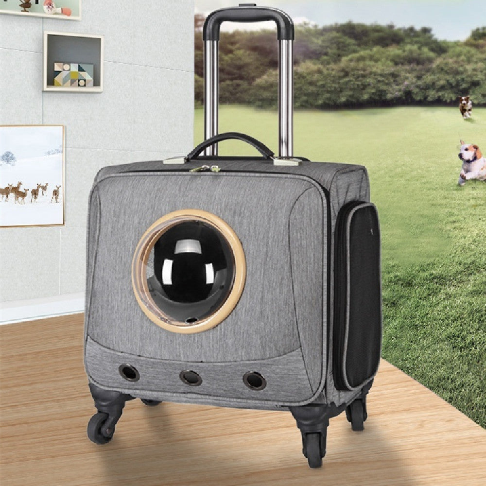 Transporteur universel pour animaux de compagnie