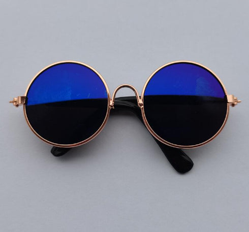 Lunettes de soleil pour chats