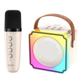 Haut-parleur Bluetooth portable KP-K02 le mieux vendu avec micro-phone Karaoke sans fil