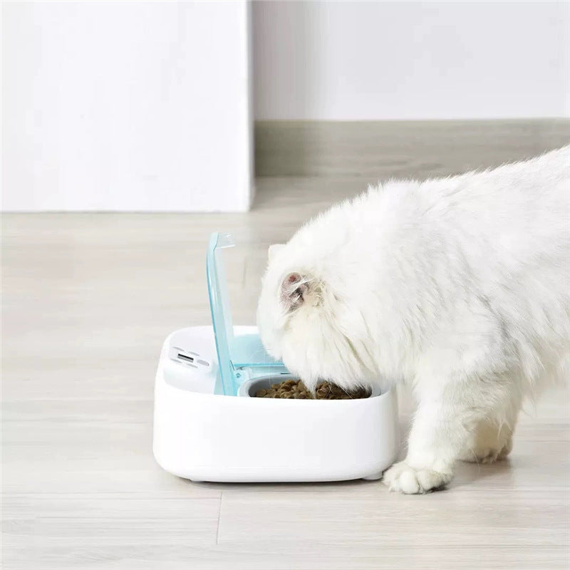Feeder intelligent automatique à double alimentation avec minuterie