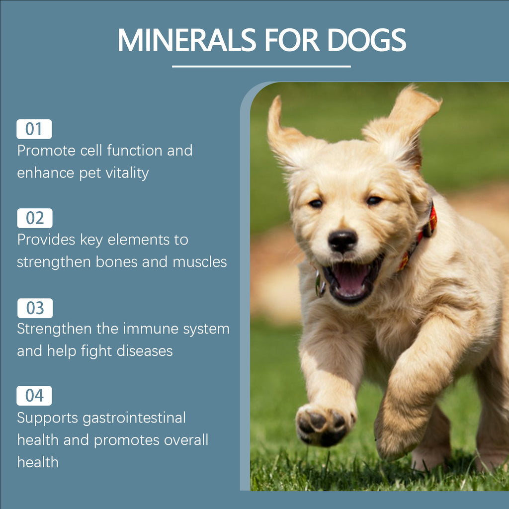 Comprimés de compléments minéraux pour chiens