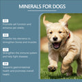 Comprimés de compléments minéraux pour chiens